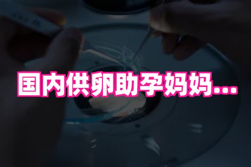 深圳助孕网站 1