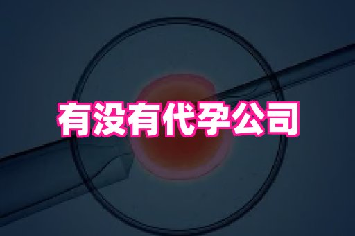 深圳助孕网站 3